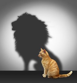 Mental Health Awareness for Managers