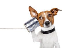 Why is Communication Skills Training Important?