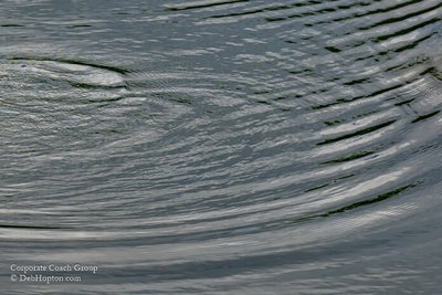 What is the Law of Cause and Effect?