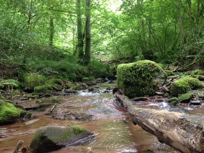 The Law of Diminishing Returns