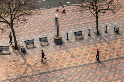 Will the COVID-19 Crisis Cause a Paradigm Shift?