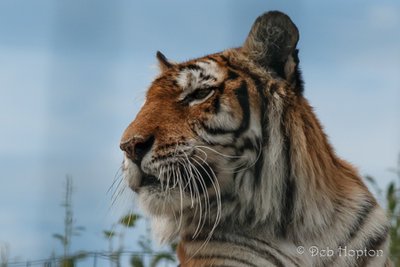 Don't Let Fear Stop You