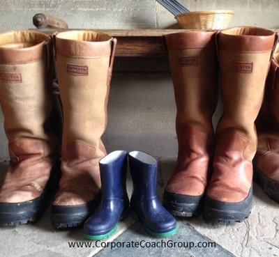 After Brexit Vote: What is the plan now?