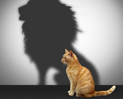 Personal Development Develop a Positive Attitude