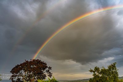 How to Recover Economically From the COVID-19 Lockdown