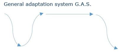 General adaptation system