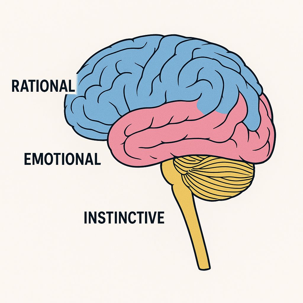 Three Brains