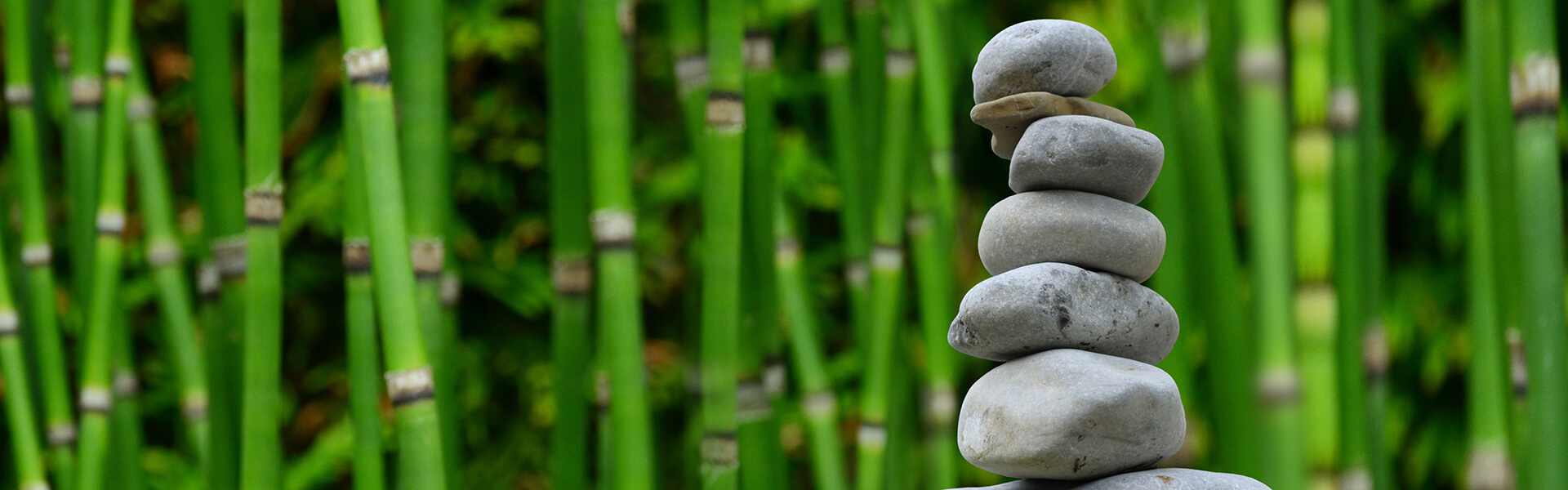 Background banner image for Total Wellness Training